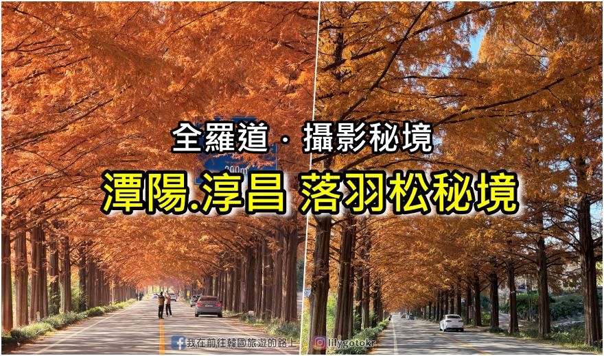 【全南光州．潭陽景點】潭陽淳昌落羽松秘境、落羽松大道：11月秋季限定紅色隧道，韓國自駕攝影私房景點 @我在前往韓國旅遊的路上