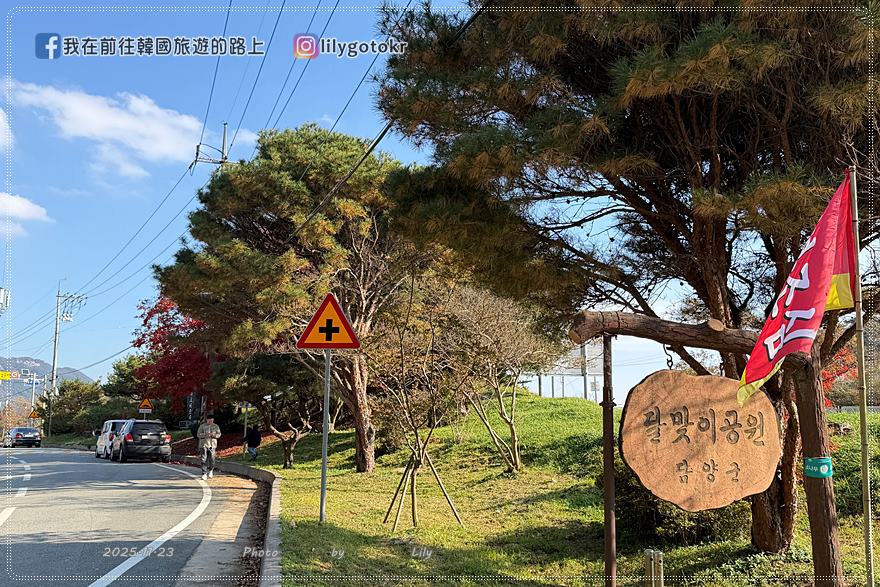 【全南光州．潭陽景點】潭陽淳昌落羽松秘境、落羽松大道：11月秋季限定紅色隧道，韓國自駕攝影私房景點 @我在前往韓國旅遊的路上