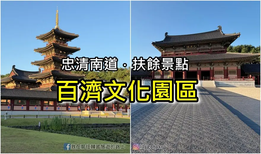 【濟州景點】西歸浦櫻花之旅：廣峙其海邊(광치기해)｜壯觀又好拍的油菜花田 @我在前往韓國旅遊的路上
