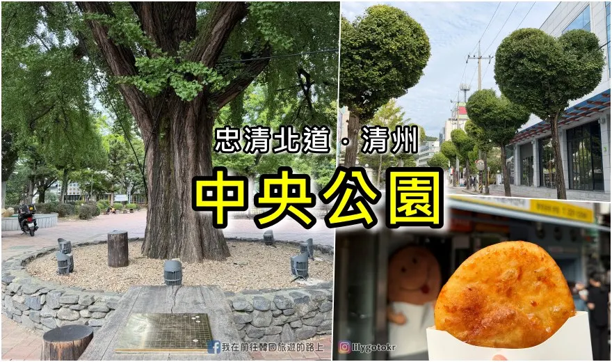 ㊵釜山．海雲台站｜海雲台的秘密花園「MAISON COTE Cafe (메종꽃떼)」花草屋頂咖啡廳 @我在前往韓國旅遊的路上