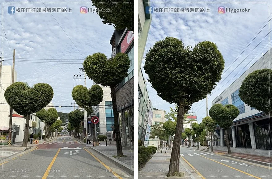 【忠清北道．清州】中央公園《黑暗榮耀》拍攝地、糖餅、愛心樹，再訪城內街、西門市場五花肉街、六街綜合市場 @我在前往韓國旅遊的路上