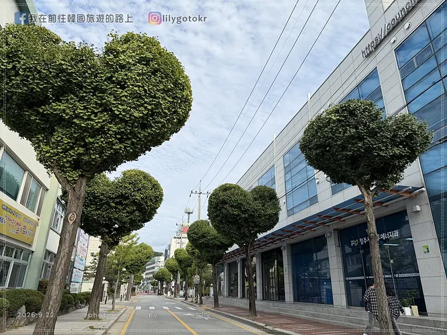 【忠清北道．清州】中央公園《黑暗榮耀》拍攝地、糖餅、愛心樹，再訪城內街、西門市場五花肉街、六街綜合市場 @我在前往韓國旅遊的路上