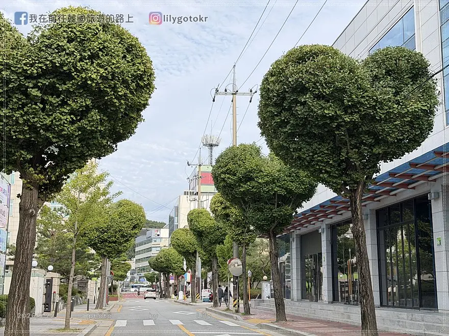【忠清北道．清州】中央公園《黑暗榮耀》拍攝地、糖餅、愛心樹，再訪城內街、西門市場五花肉街、六街綜合市場 @我在前往韓國旅遊的路上