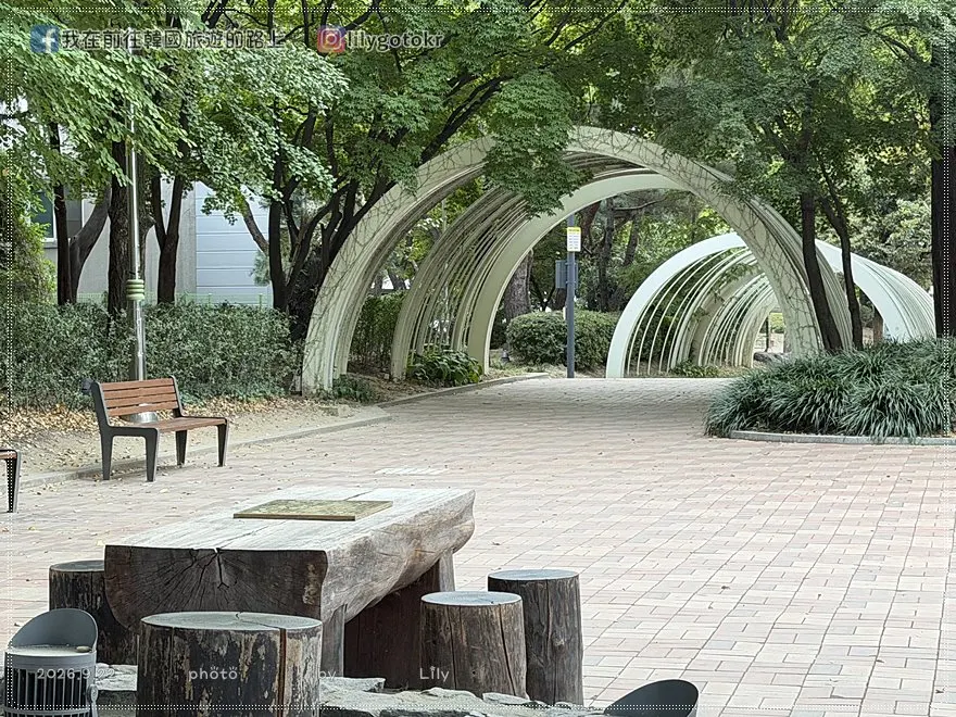 【忠清北道．清州】中央公園《黑暗榮耀》拍攝地、糖餅、愛心樹，再訪城內街、西門市場五花肉街、六街綜合市場 @我在前往韓國旅遊的路上