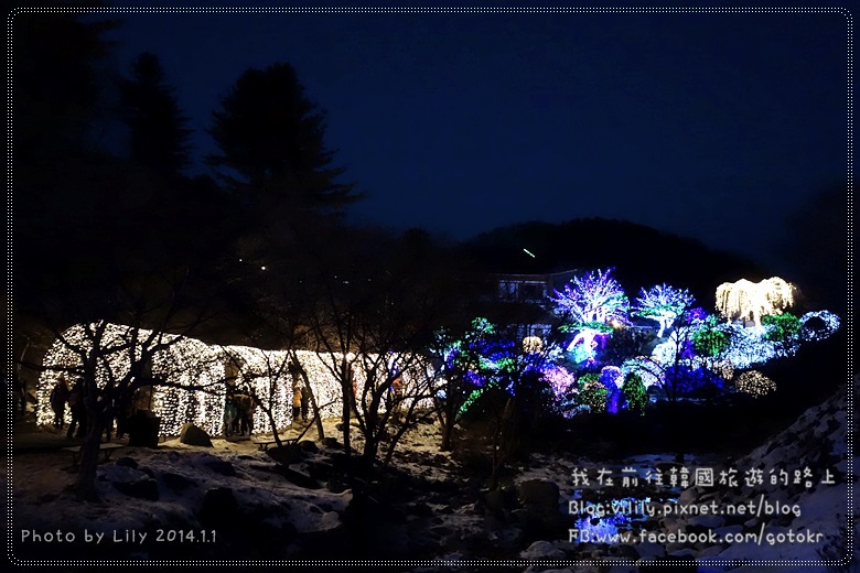 ⑦京畿．加平｜「晨靜樹木園」冬季五色星光庭園展~超級美《還魂,雲畫的月光,她很漂亮,原來是美男,信義》韓劇取景地 @我在前往韓國旅遊的路上