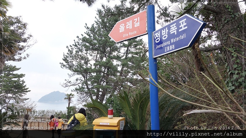 ⑧濟州．西歸浦｜我在「6號偶來小路」漫步~濟州偶來辦事處、正房瀑布篇 @我在前往韓國旅遊的路上
