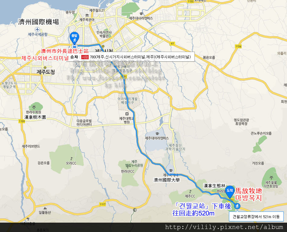 ⑧濟州市｜季節限定天然雪場的「馬放牧地」、516道路森林隧道 @我在前往韓國旅遊的路上