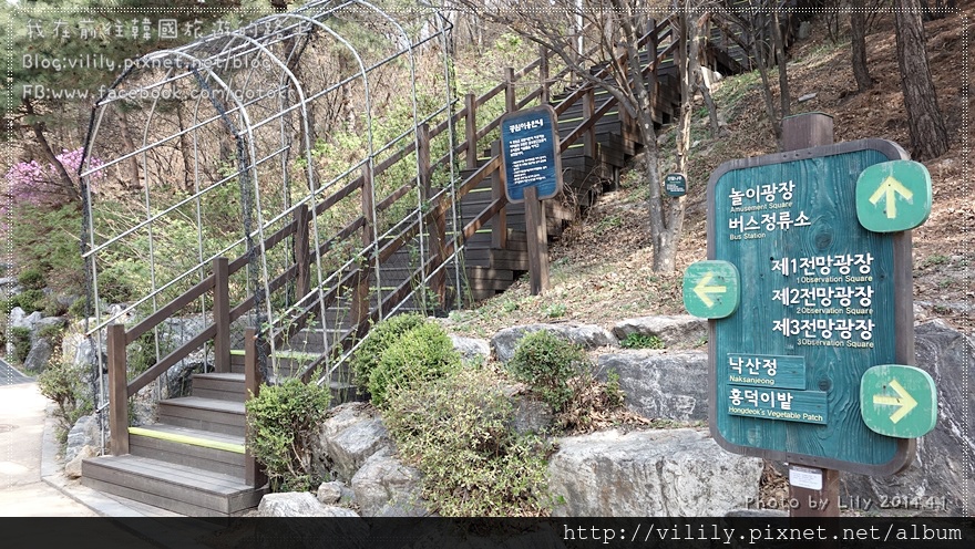 ⑨首爾．惠化站｜到駱山公園(낙산공원)賞櫻趣 @我在前往韓國旅遊的路上