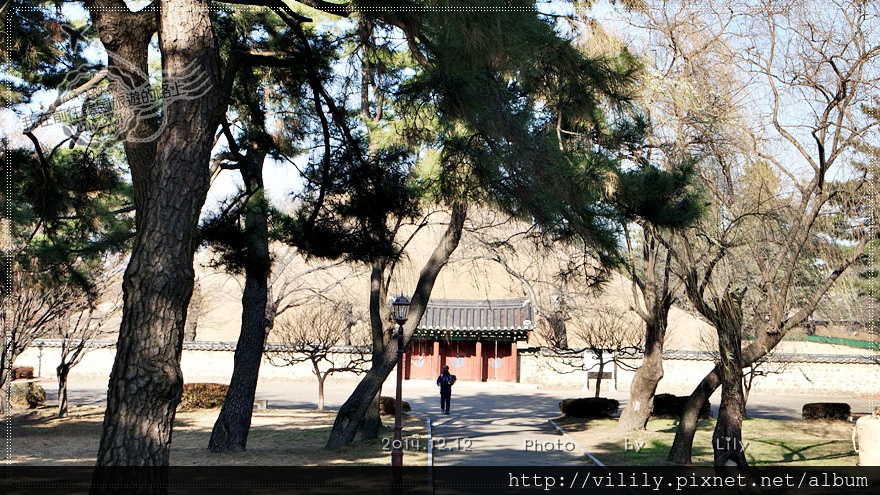 ⑭ 慶尚北道．慶州｜慶州歷史遺址半天就搞定(1)~大陵苑、瞻星台(RM取景)、雞林篇 @我在前往韓國旅遊的路上