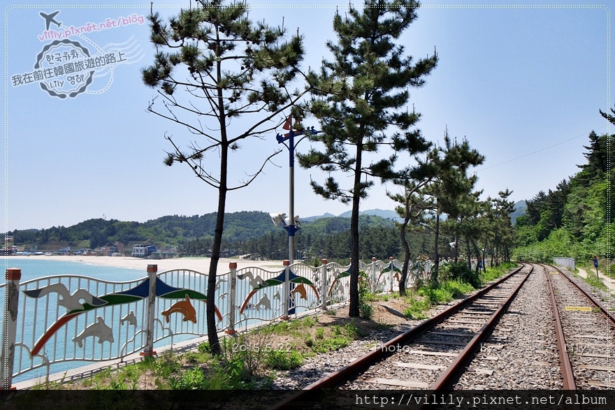 ⑯ 江原道．三陟｜騎三陟海洋鐵路自行車(삼척해양레일바이크)擁抱美麗的東海 @我在前往韓國旅遊的路上