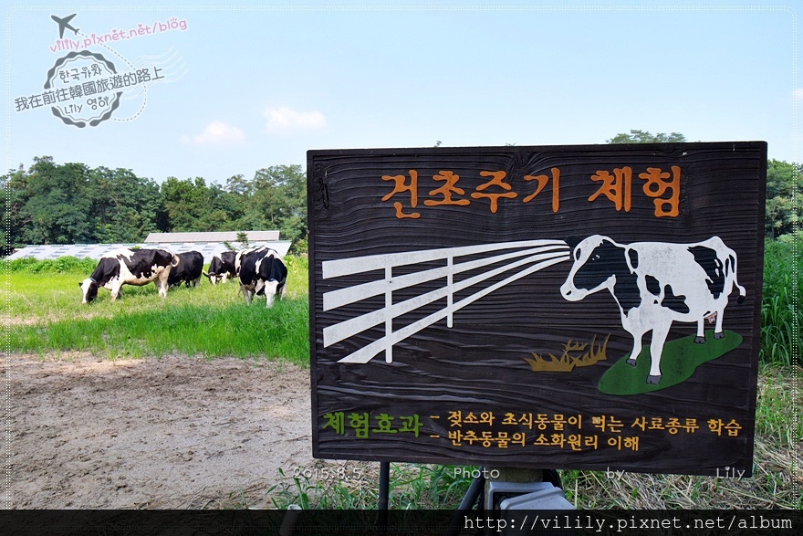 ⑰京畿道．龍仁｜親子景點「Nong Do Won牧場(元氣牛奶牧場)」體驗DIY製作冰淇淋或起司 @我在前往韓國旅遊的路上