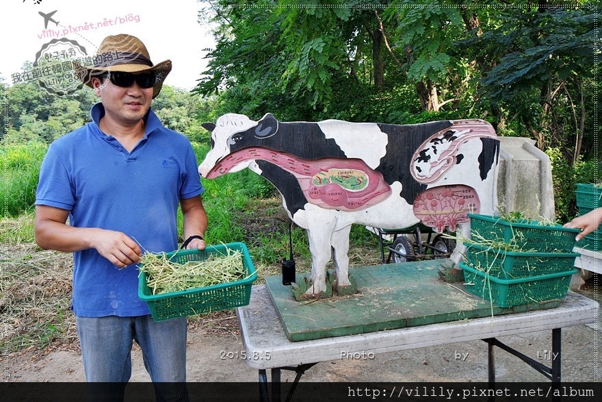 ⑰京畿道．龍仁｜親子景點「Nong Do Won牧場(元氣牛奶牧場)」體驗DIY製作冰淇淋或起司 @我在前往韓國旅遊的路上