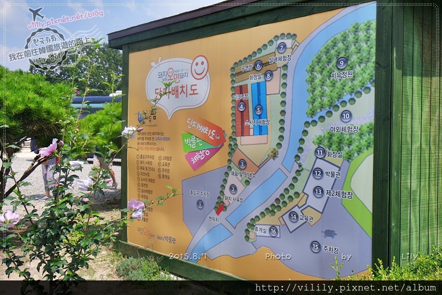 ⑰京畿．利川｜亞洲首間「小豬博物館」育教娛樂的親子景點《超人回來了》也有來喔 @我在前往韓國旅遊的路上