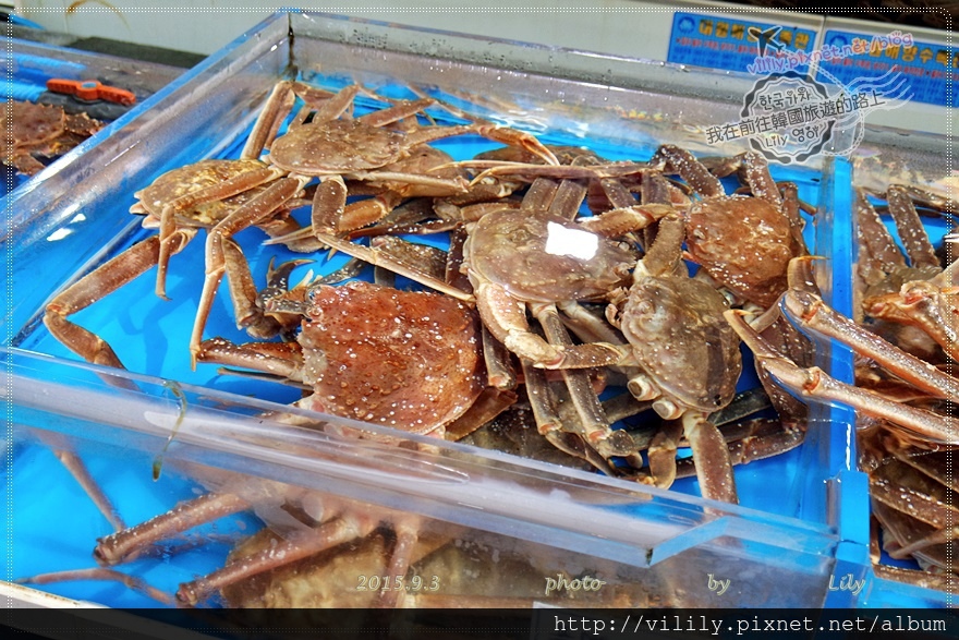 ⑱釜山．機張｜到「機張市場」青海王雪蟹(청해왕대게)享用肥美鮮甜螃蟹(南浦洞有直達公車到機張） @我在前往韓國旅遊的路上