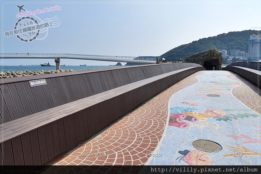 ⑱釜山｜一次玩遍松島：松島雲端散步路(松島天空步道)松島365全區開放 @我在前往韓國旅遊的路上