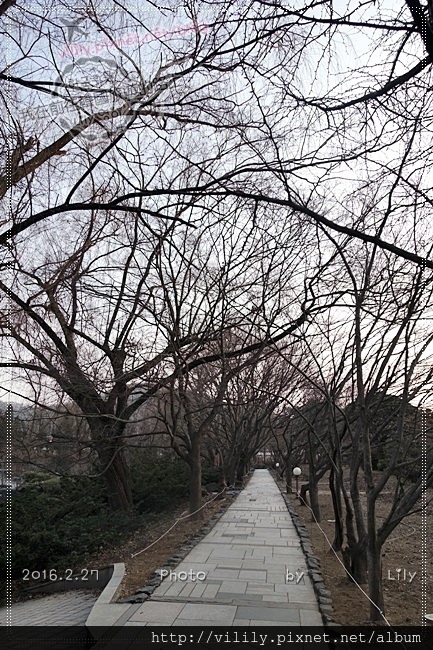 ㉓京畿道．坡州｜BCJ 碧草池文化樹木園~冬季慶典也超美《德魯納酒店,原來是美男,城市獵人,龍八夷,她很漂亮》等眾多韓劇拍攝地(含詳細交通) @我在前往韓國旅遊的路上