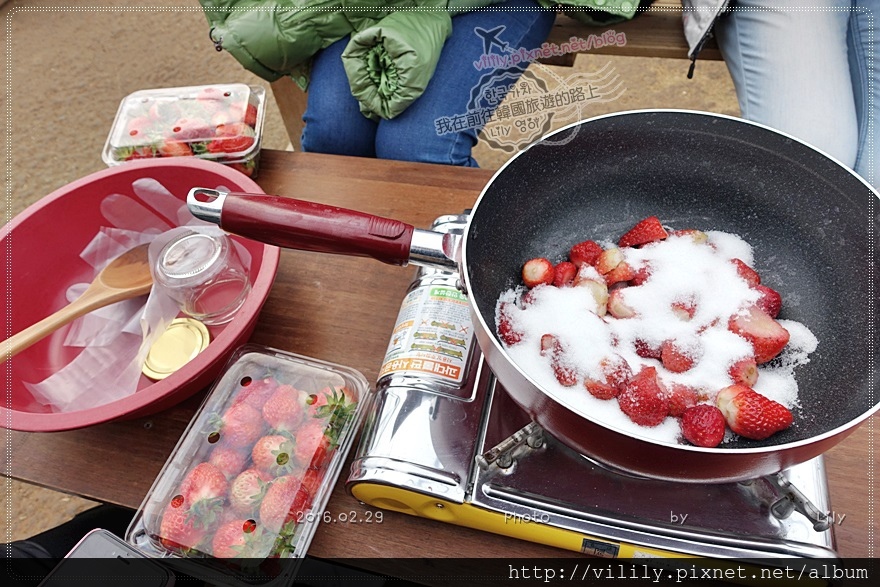 ㉓京畿道．南楊州｜採有機草莓現吃到飽，還可帶回一盒草莓及草莓果醬 [KKday行程] @我在前往韓國旅遊的路上