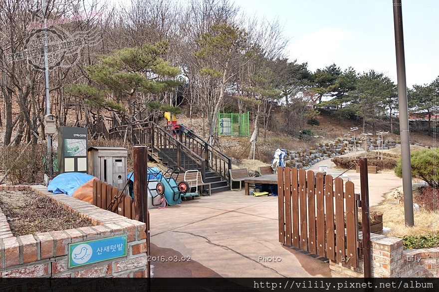 ㉓ 賽折站｜首爾私房景點：恩平山鳥村(산새마을)壁畫村 @我在前往韓國旅遊的路上