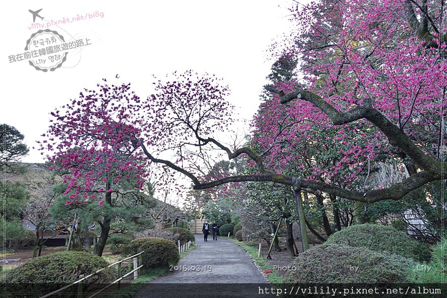 日本．茨城｜日本三大名園之一「偕樂園」賞梅、好文亭 @我在前往韓國旅遊的路上