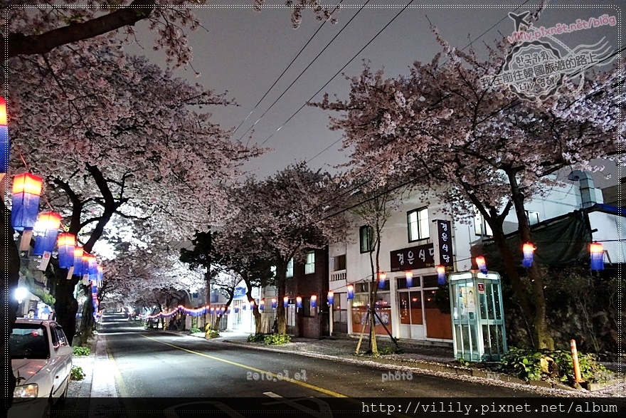 ㉔濟州市｜典農路(전농로)櫻花道賞夜櫻，近麵條文化一條街及濟州長途客運站 @我在前往韓國旅遊的路上