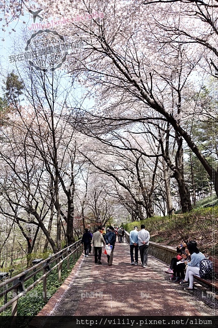 ㉔仁川｜自由公園(자유공원)賞櫻《天使之眼、孤單又燦爛的神 鬼怪》拍攝地 @我在前往韓國旅遊的路上