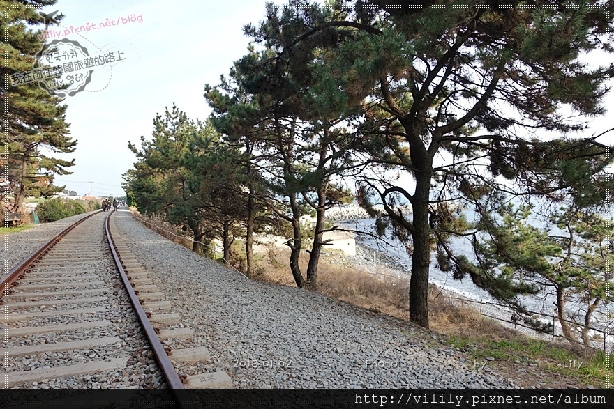 ㉒釜山．海雲台｜青沙浦鐵道(尾浦鐵道미포기찻길)＆著名拍攝地：青沙浦燈塔 @我在前往韓國旅遊的路上