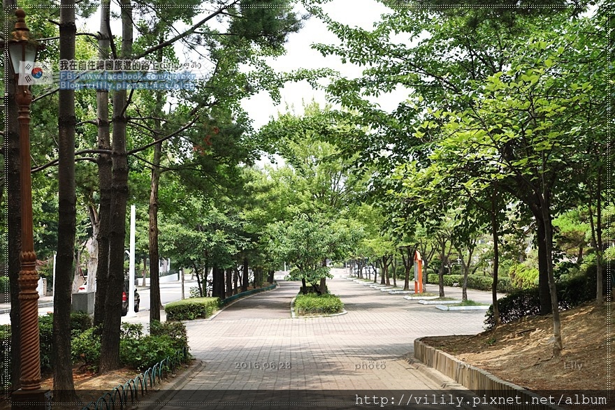 ㉖ 韓劇景點．高陽市｜彩色木椅的「水晶公園」《美女孔心,藍色大海的傳說,再次重逢的世界》取景地 @我在前往韓國旅遊的路上