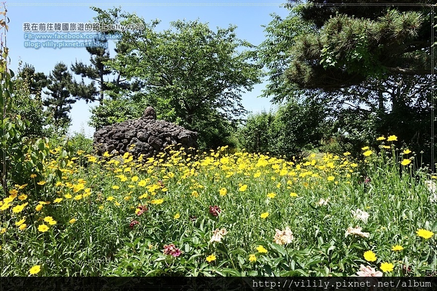 ㉞濟州．西歸浦｜情侶＆姐妹淘必訪人氣拍照新景點「NORI梅公園(노리매공원)」好拍又有趣 @我在前往韓國旅遊的路上