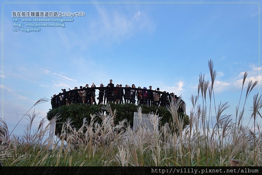 ㊱首爾．世界盃體育場站｜天空公園(하늘공원)10月限定紫芒節/粉黛亂子草/波波草，含詳細路線 @我在前往韓國旅遊的路上