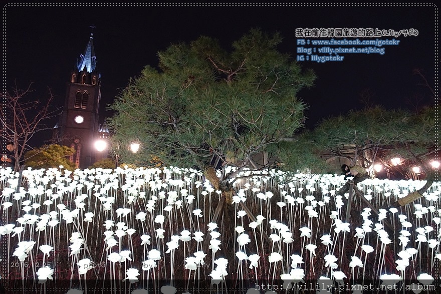 ㉚首爾．明洞｜冬季限定～明洞聖堂(明洞天主大教堂)LED玫瑰花海 @我在前往韓國旅遊的路上