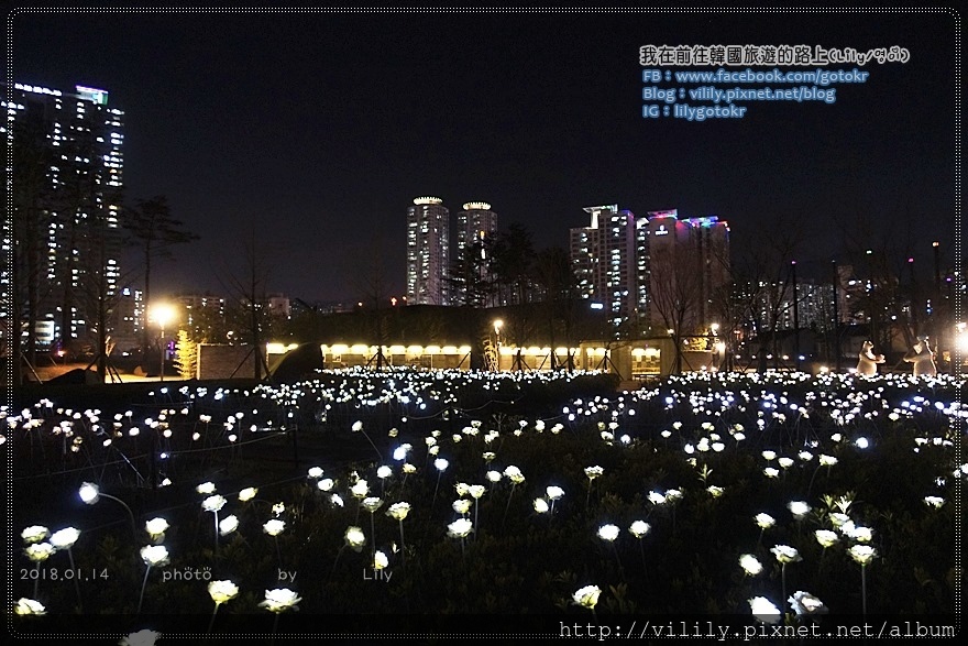 ㊵釜山．釜田/西面站｜釜山市民公園～美麗的夜景、LED玫瑰花海、親子景點(附詳細交通) @我在前往韓國旅遊的路上