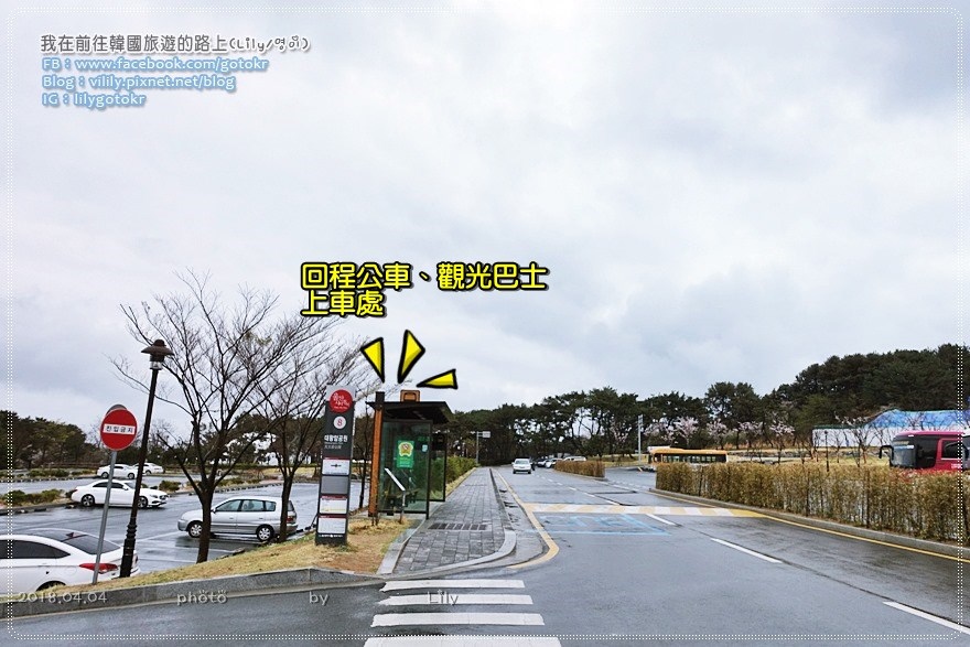 ㊶蔚山｜大王岩公園(대왕암공원)賞櫻、奇石、看日出 @我在前往韓國旅遊的路上