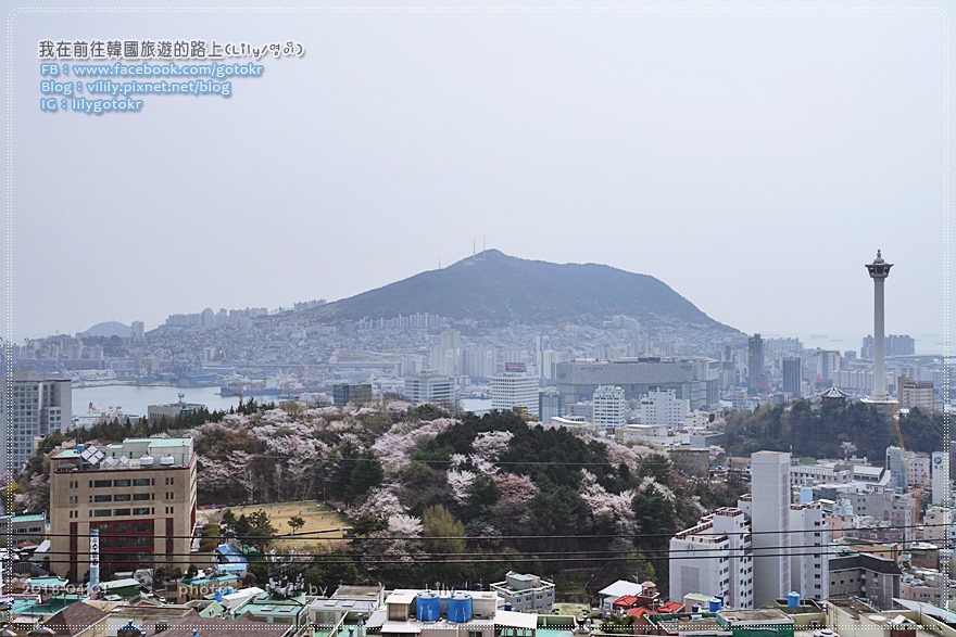 ㊶釜山．釜山站｜櫻花大道望洋路之私房景點「大廳洞色彩村(대청동색채마을)」適合愛拍照的你(含灜州洞上坡單軌列車) @我在前往韓國旅遊的路上