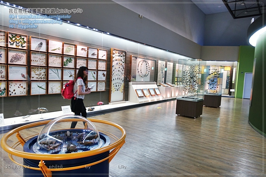 ㊹全羅南道．木浦｜自然史博物館목포자연사박물관，木浦親子景點 @我在前往韓國旅遊的路上