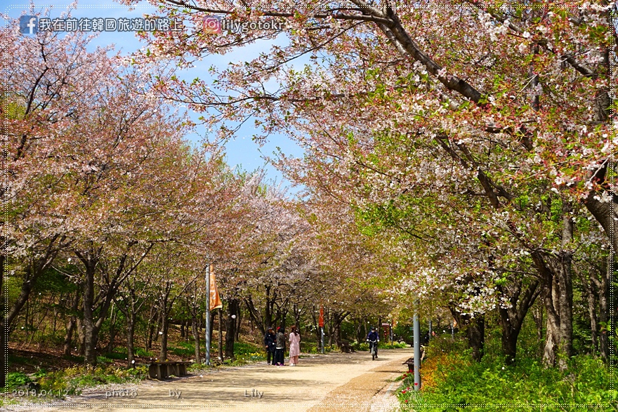 ㊶首爾．首爾林站｜「首爾林」賞櫻步道＆網美拍照點報你知(附地圖) @我在前往韓國旅遊的路上