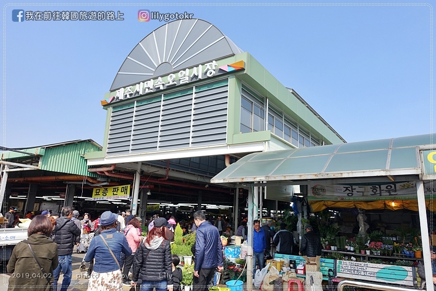 ㊾濟州市｜濟州市民俗五日市場(每月逢2、7日)，人氣美食湯拌飯只要6000韓元 @我在前往韓國旅遊的路上