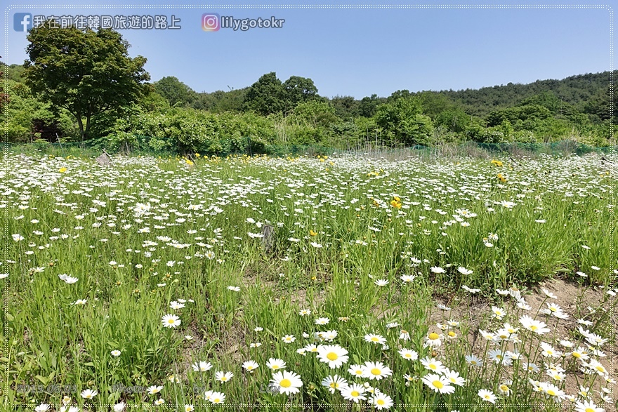 51)忠清北道．清州｜上黨山城(상당산성)~韓國歷史劇、韓綜拍攝地，含完整交通介紹 @我在前往韓國旅遊的路上