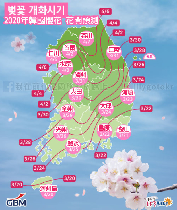 2016~2022年歷年韓國春花及櫻花花開預測總整理 @我在前往韓國旅遊的路上