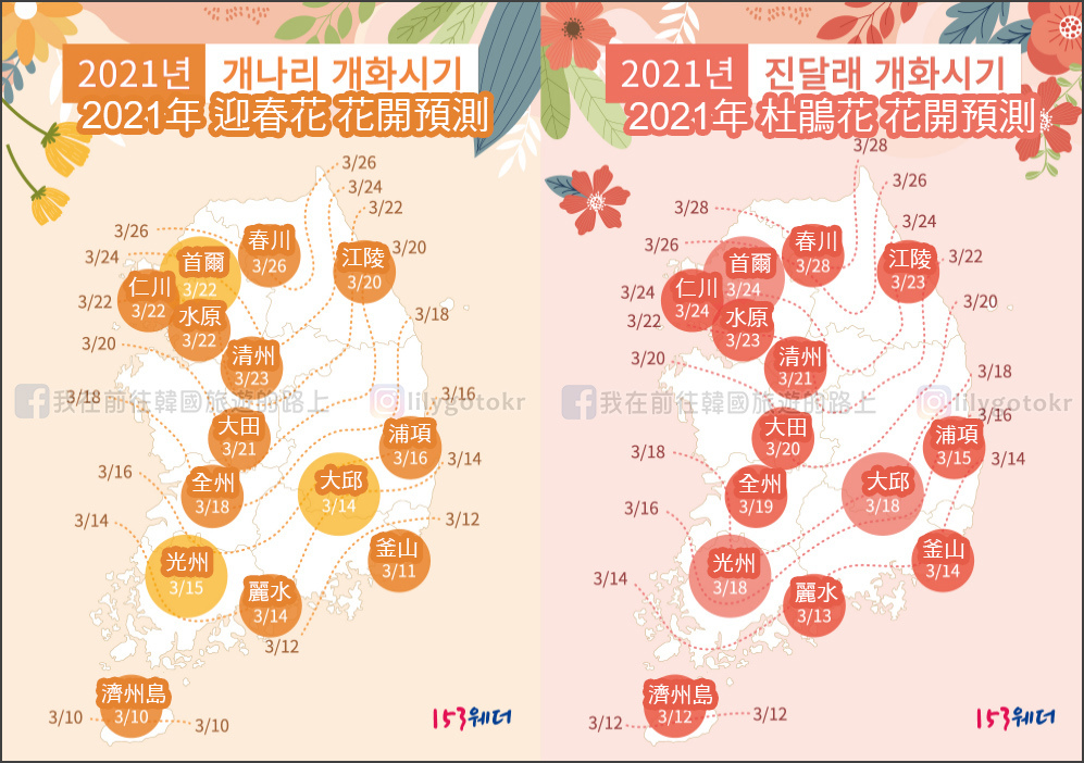 2016~2022年歷年韓國春花及櫻花花開預測總整理 @我在前往韓國旅遊的路上