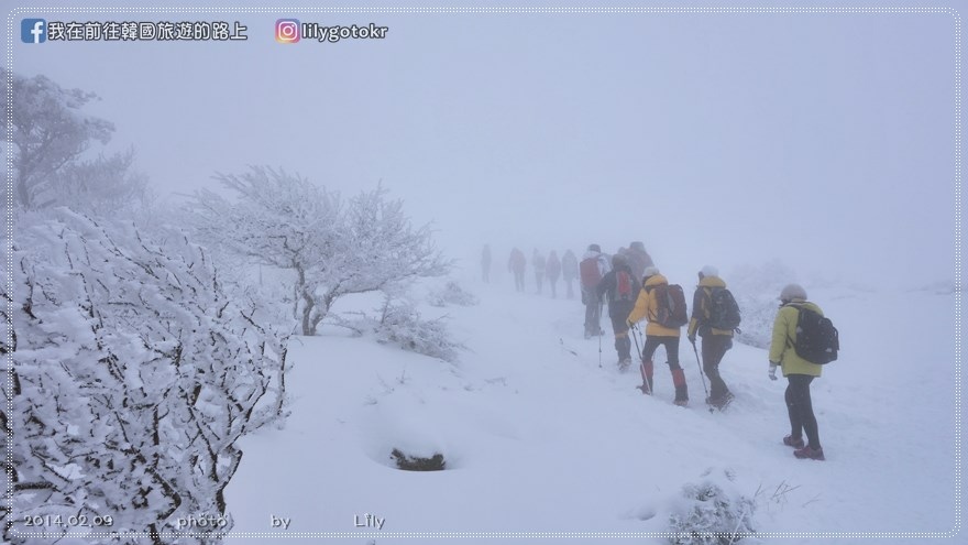 即時熱門文章：⑧濟州市｜雪登韓國第一高峰「漢拿山」御里牧(어리목)登山路